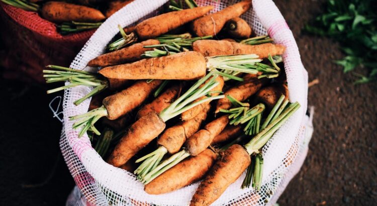 Que faire avec des carottes ? 5 recettes faciles et pas chères !