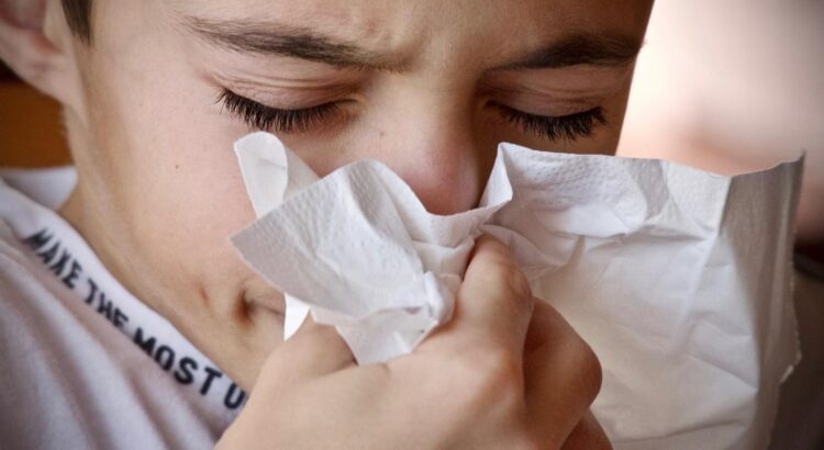 Allergie aux acariens : 5 astuces pour limiter les risques ou s’en débarrasser rapidement
