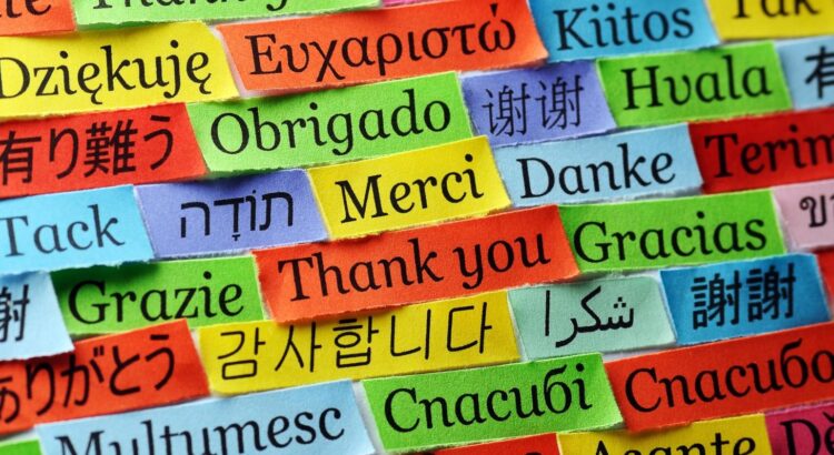 Quiz – Sauras-tu deviner quelles sont les langues officielles de ces pays ?