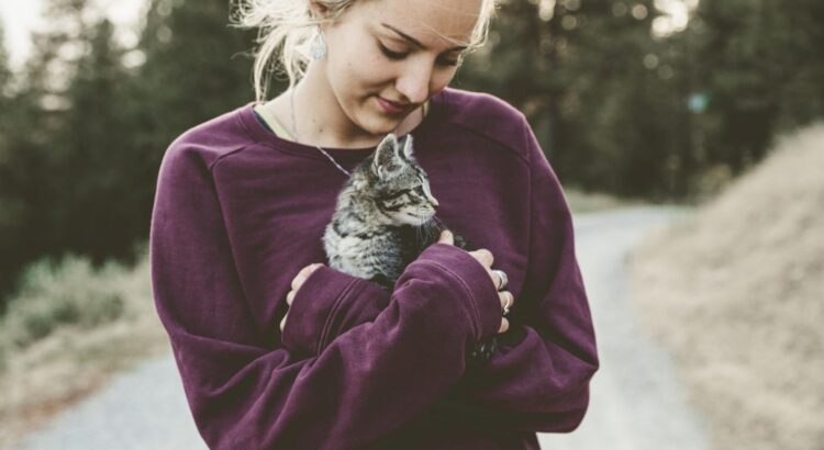4 choses à prendre en compte avant d’adopter un animal de compagnie