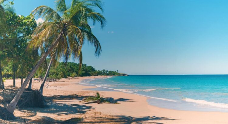 Voyage : 5 raisons de s’envoler pour la Guadeloupe