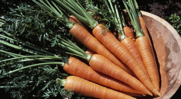 Que faire avec des carottes ? 4 recettes faciles et pas chères #2