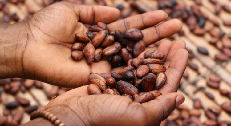 Journée internationale du chocolat : Tous les bienfaits du cacao sur ta santé