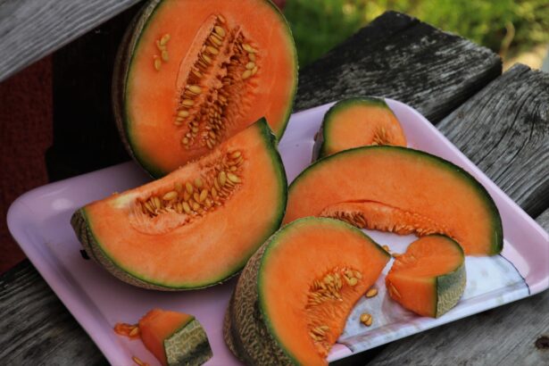 Le melon est l'ingrédient incontournable de nos repas d'été
