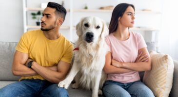 Couple : un animal de compagnie est-il dangereux pour la relation ?