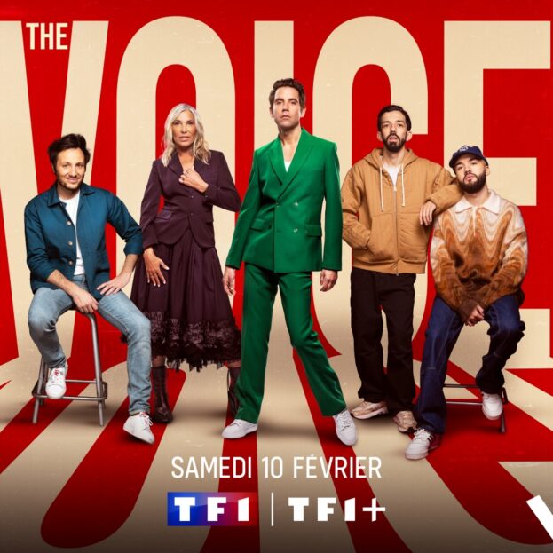Connais-tu les jurés de The Voice ?